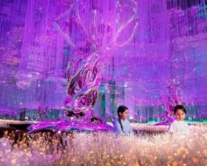 Aya Universe Dubai Ticket -  Discover The Wonder