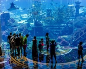 The Lost Chambers Aquarium Atlantis