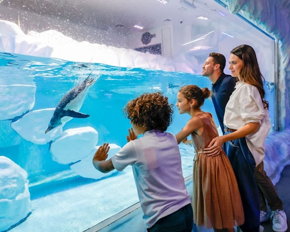 Dubai Mall Aquarium + Underwater Zoo + Penguin Cove - Image 2