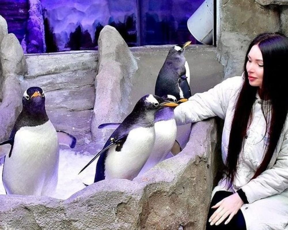 Dubai Mall Aquarium + Underwater Zoo + Penguin Cove - Image 3