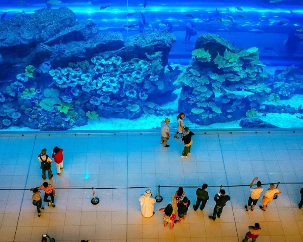 Dubai Mall Aquarium + Underwater Zoo + Penguin Cove - Image 4