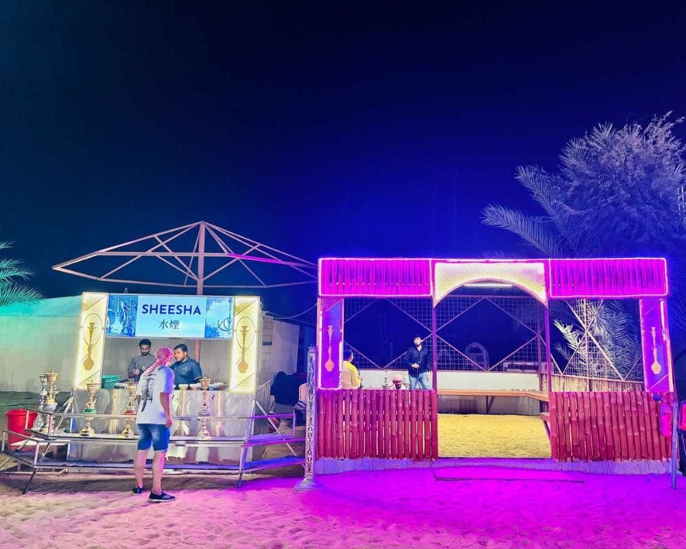 Standard Desert Safari Dubai with 4x4 Pick-Up - Image 5