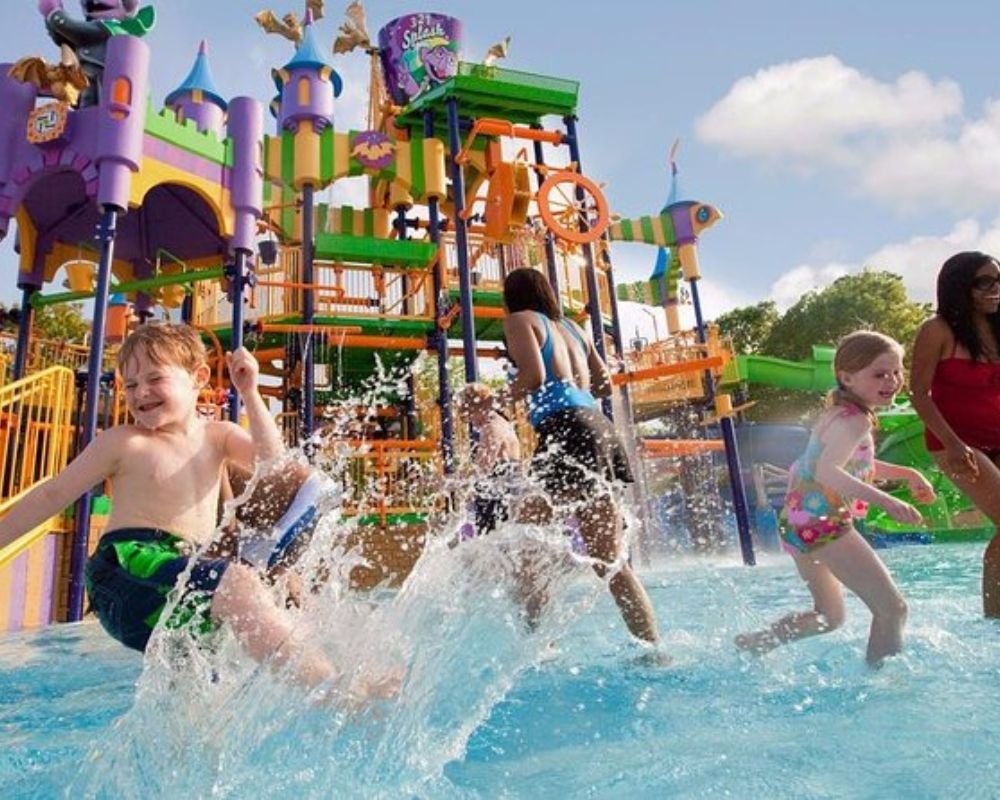 Yas Island 2 Days 2 Parks Pass – Ferrari World, Warner Bros. World, Yas Waterworld, and SeaWorld Abu Dhabi. - Image 2