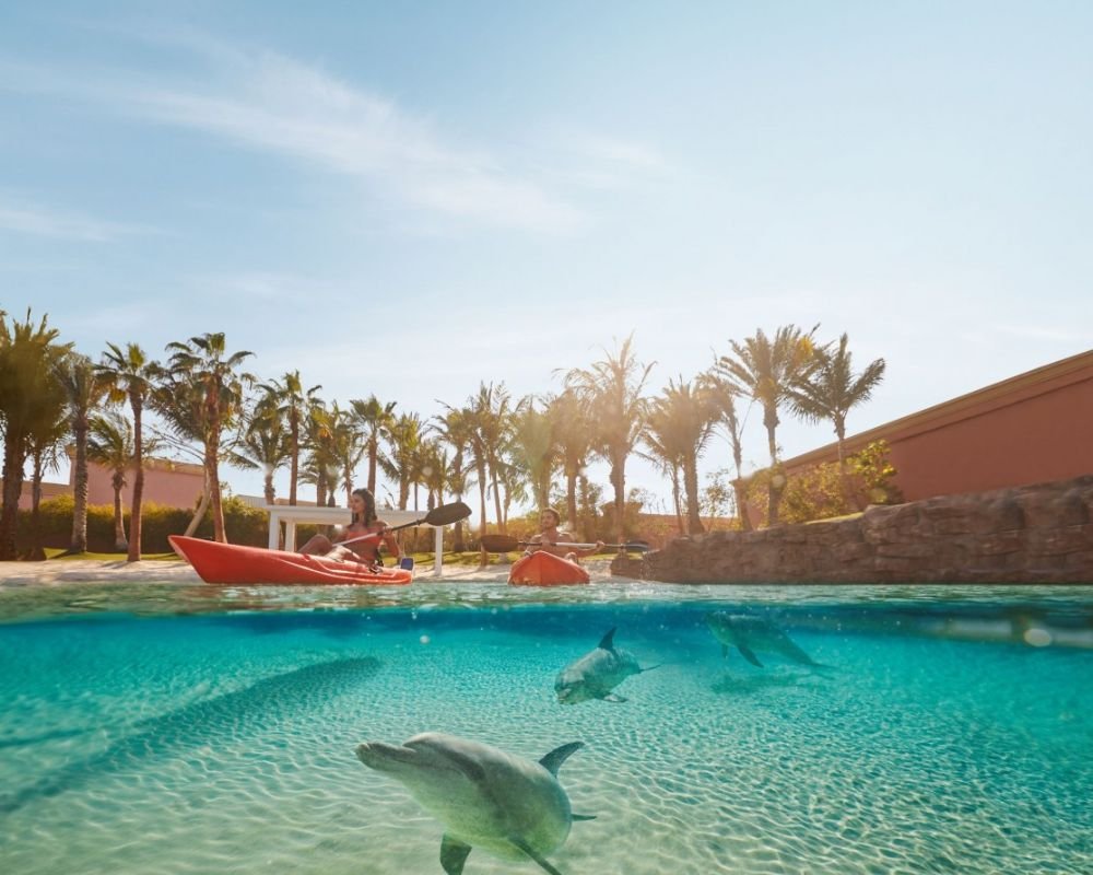 Dolphin Bay Experiences – Atlantis, The Palm, Dubai - Image 2