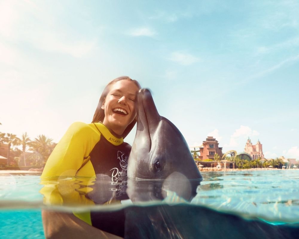 Dolphin Bay Experiences – Atlantis, The Palm, Dubai - Image 3