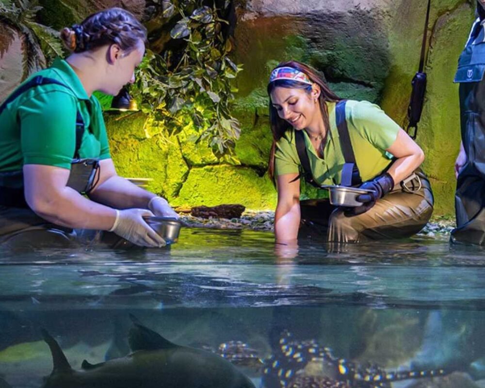 National Aquarium Abu Dhabi – All Access Pass + Fish Feeding Experience - Image 3