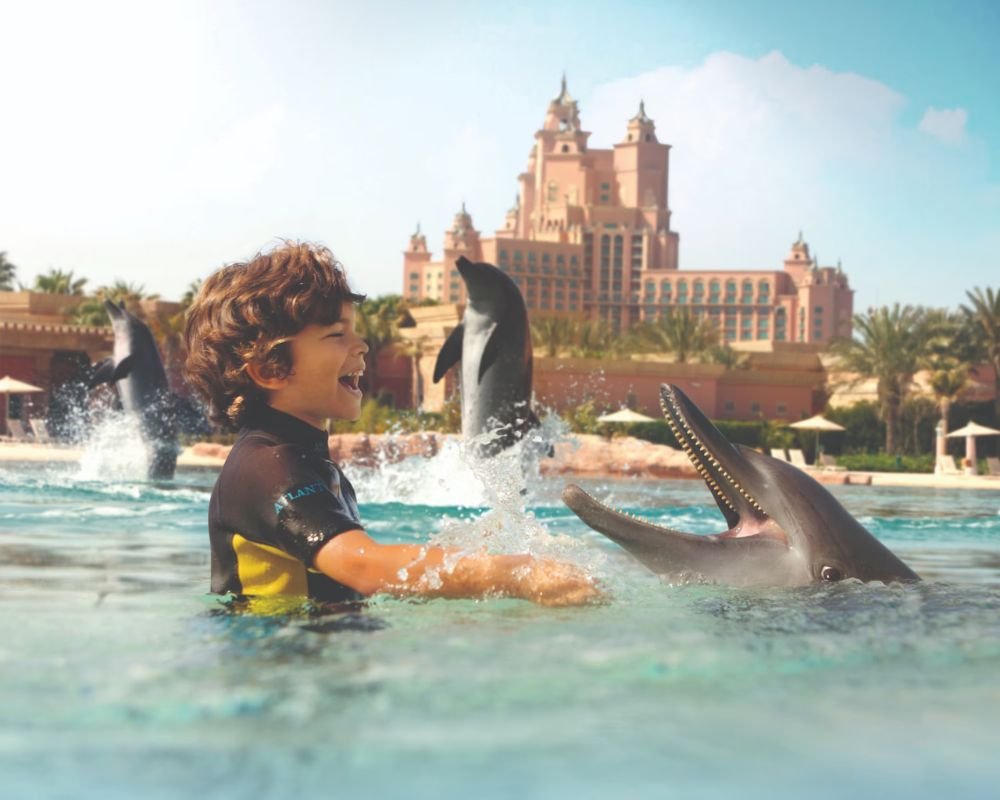 Dolphin Bay Experiences – Atlantis, The Palm, Dubai - Image 4