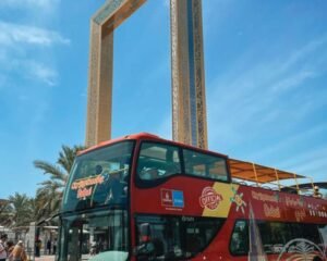 Big Bus  (Hop-On, Hop-Off) 1 Day Tour