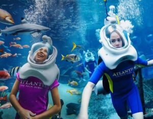 Atlantis Aquarium Experience