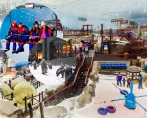 Ski Dubai Snow Plus
