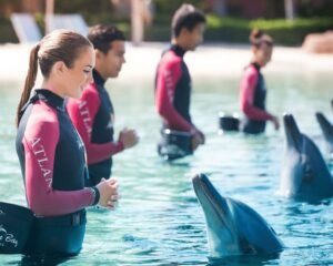 Dolphin Bay Experiences – Atlantis, The Palm, Dubai