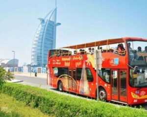 Big Bus  (Hop-On, Hop-Off) 2 Day Tour