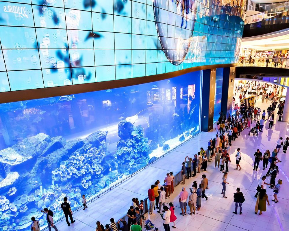 Burj Khalifa At The Top + Dubai Aquarium & Underwater Zoo + Penguin Cove (Prime Time) - Image 2