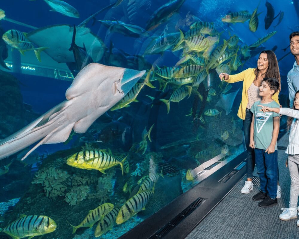 Burj Khalifa At The Top + Dubai Aquarium & Underwater Zoo + Penguin Cove (Prime Time) - Image 3