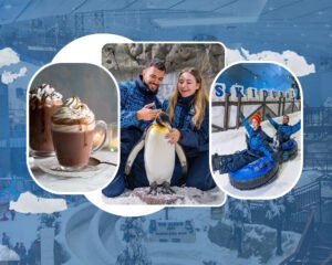 Ski Dubai - Snow Premium Pass