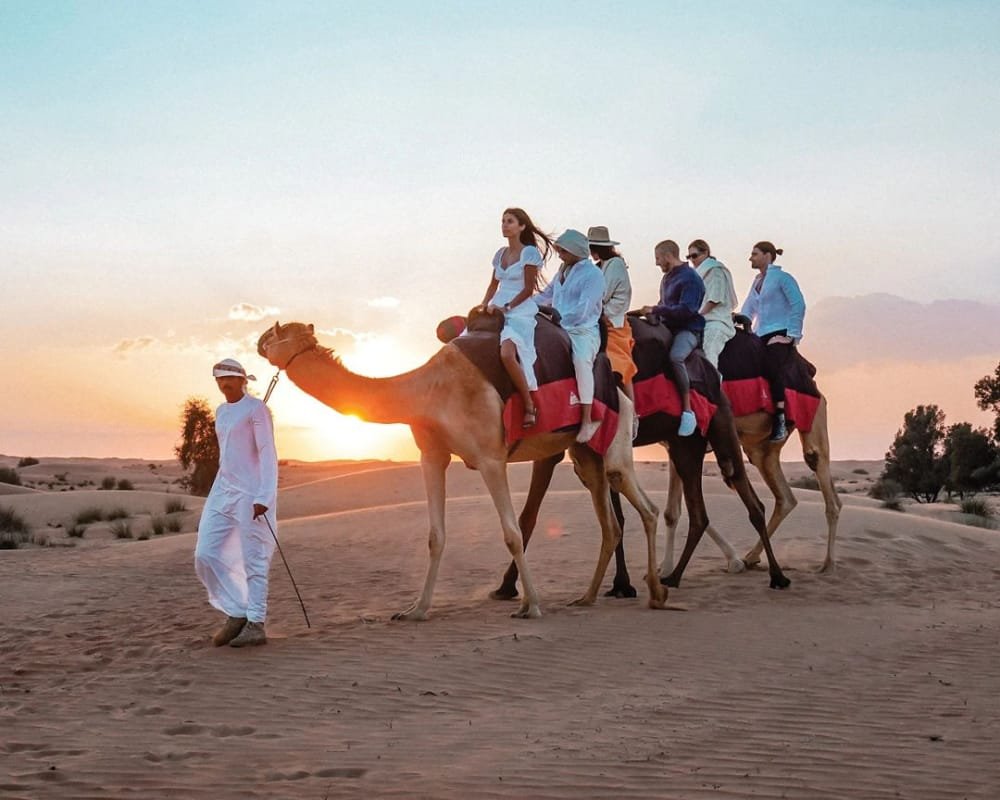 4x4 Pick Up — Desert Safari — Dubai - Image 6