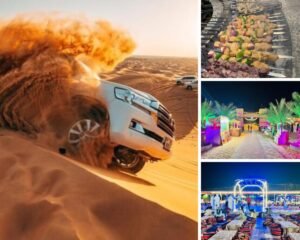 Standard Desert Safari Dubai with 4x4 Pick-Up